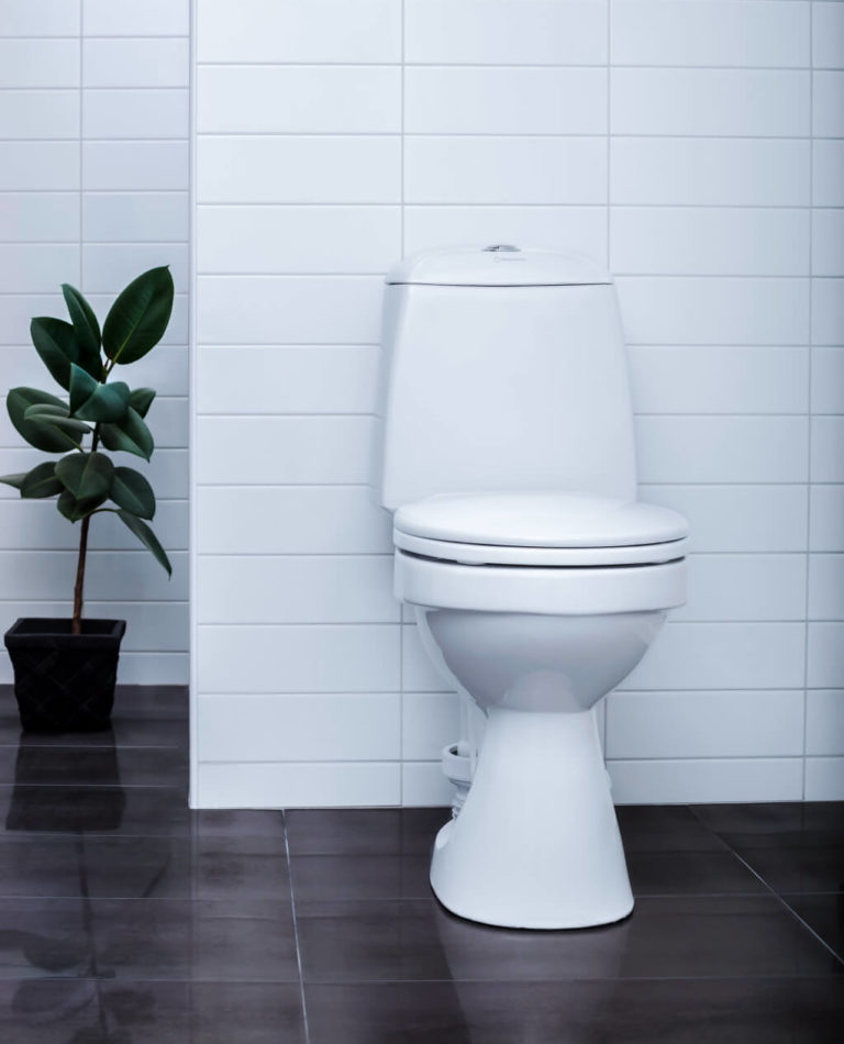 EcoFlush-Toilet-e1524480185705-768x950.jpg